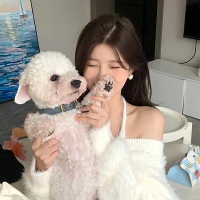 战地情莺
