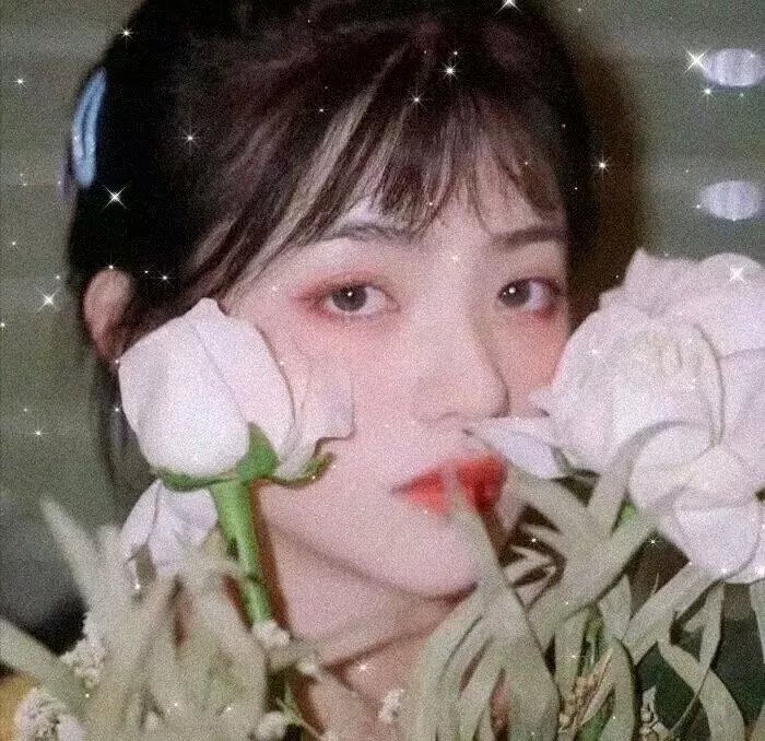 房车奇遇